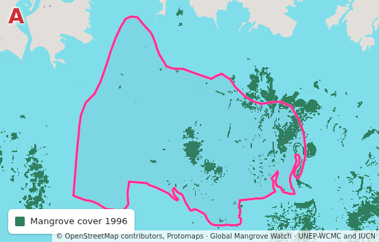 Keti Bunder South, Pakistan: cover in 1996, in 2006 and in 2025, and the change from 1996 to 2025